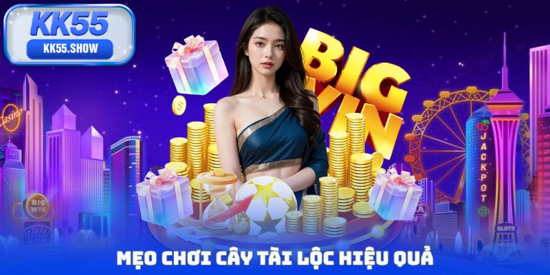 Mẹo chơi cây tài lộc hiệu quả